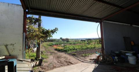 Armazém  Venda em São Bartolomeu do Outeiro e Oriola,Portel