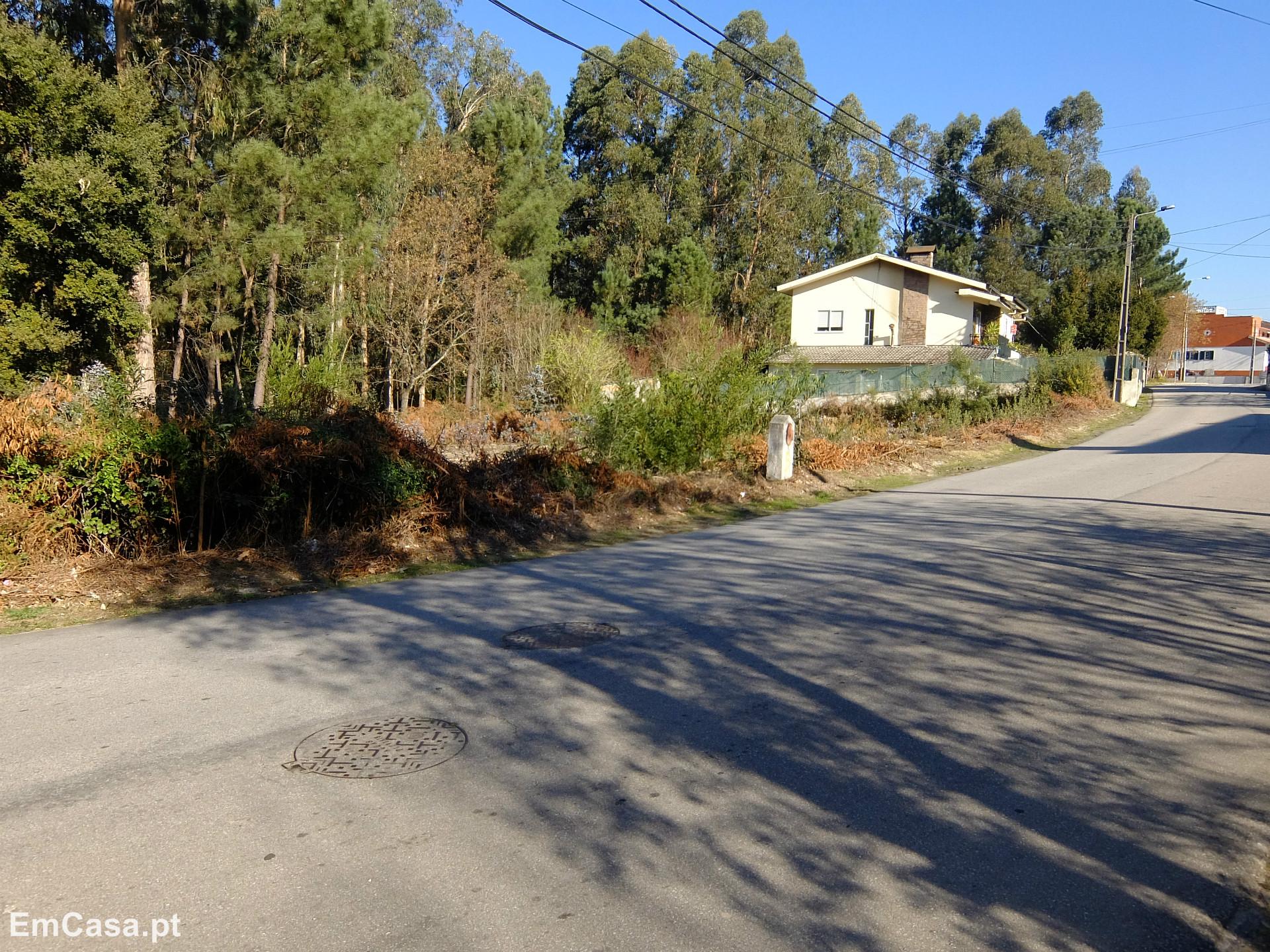 Terreno  Venda em São Roque,Oliveira de Azeméis