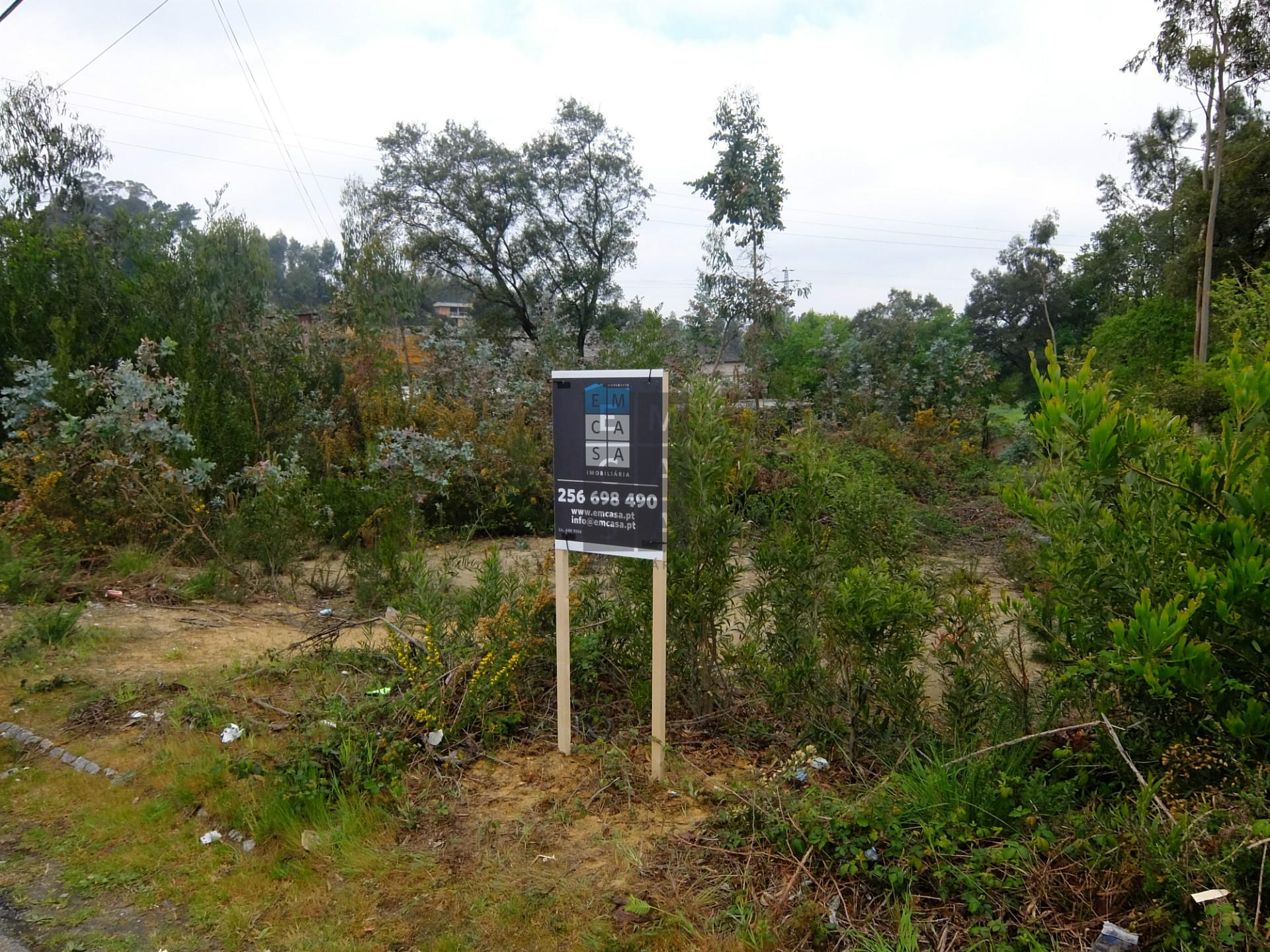 Terreno  Venda em São Roque,Oliveira de Azeméis