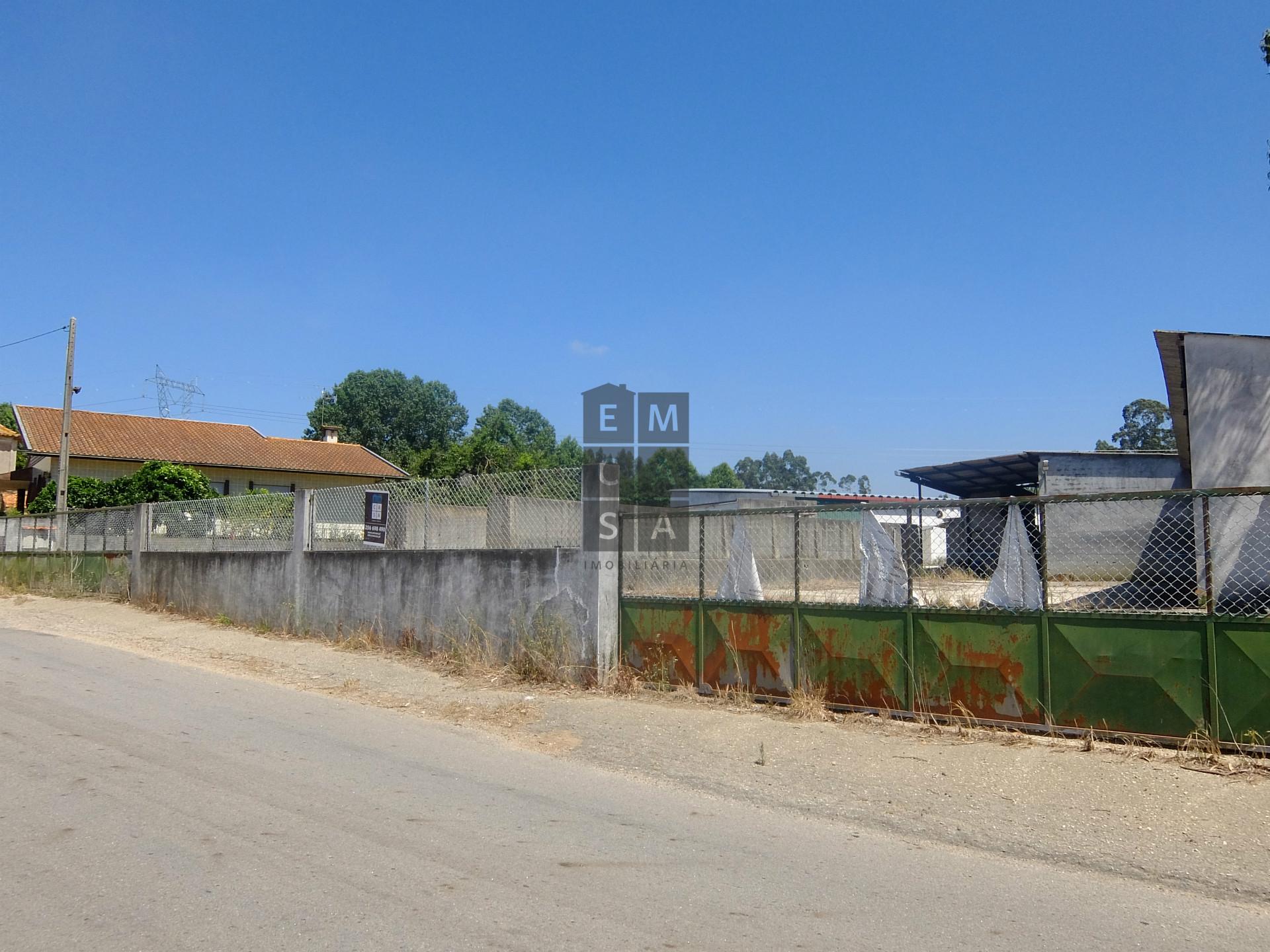 Armazém  Venda em Loureiro,Oliveira de Azeméis