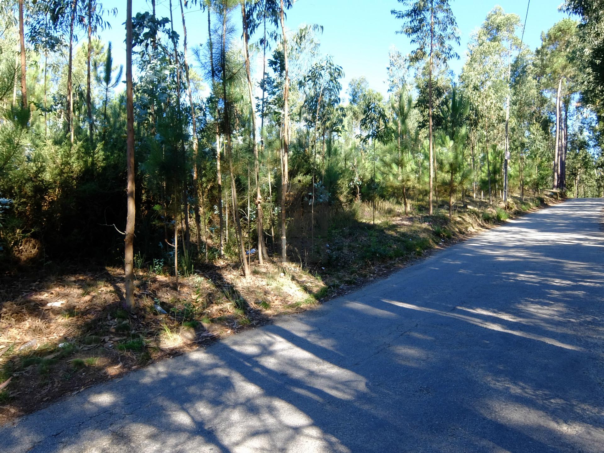 Terreno Para Construção  Venda em Ossela,Oliveira de Azeméis