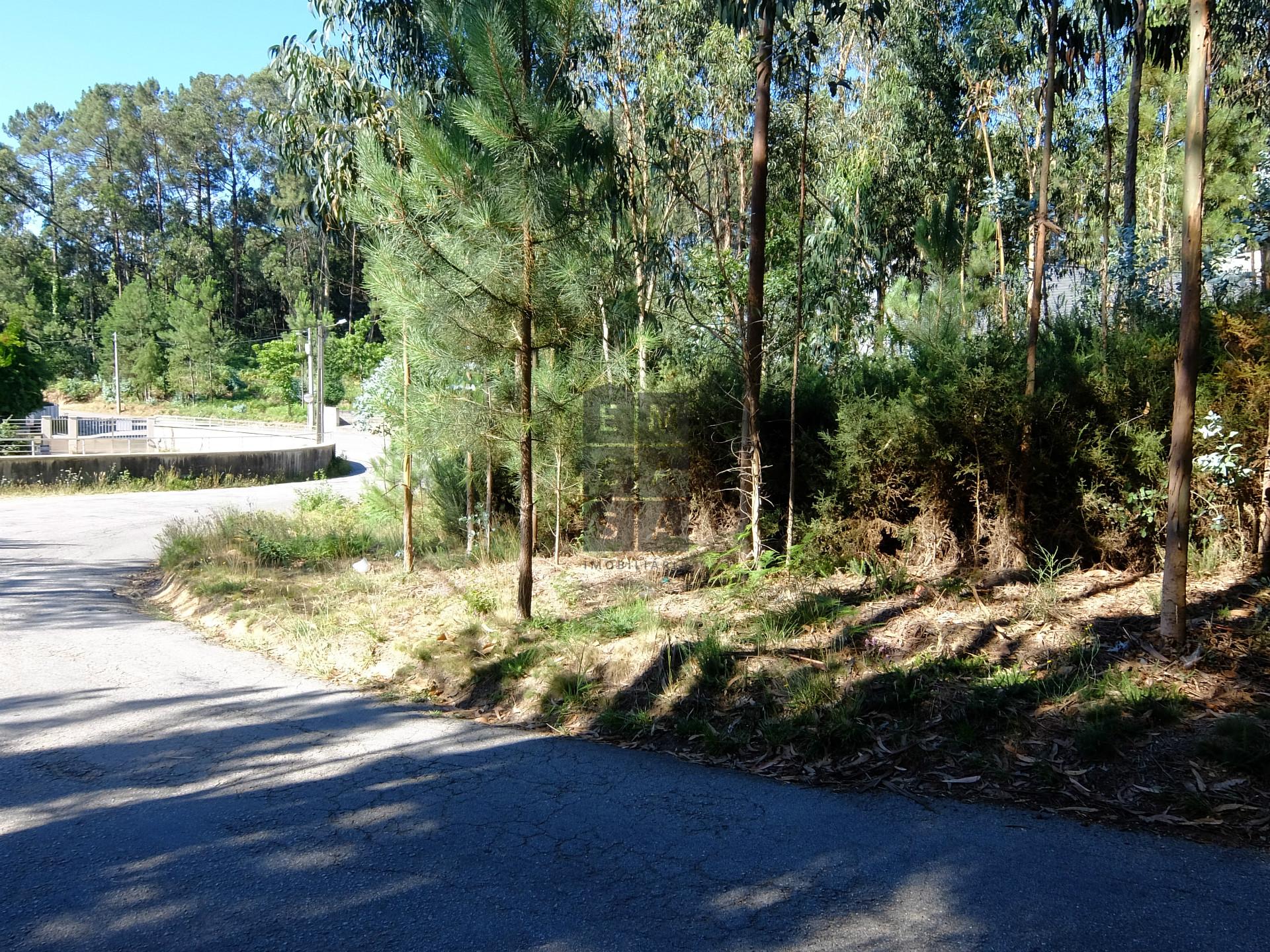 Terreno Para Construção  Venda em Ossela,Oliveira de Azeméis