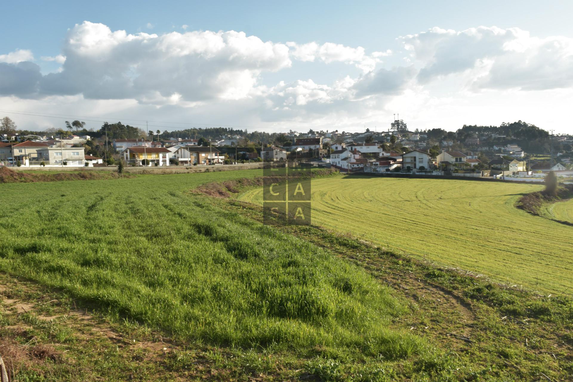 Terreno Para Construção  Venda em São Miguel do Souto e Mosteirô,Santa Maria da Feira