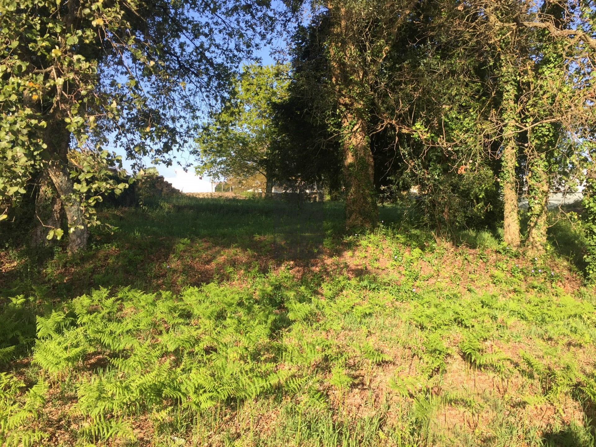 Terreno Para Construção  Venda em São Roque,Oliveira de Azeméis