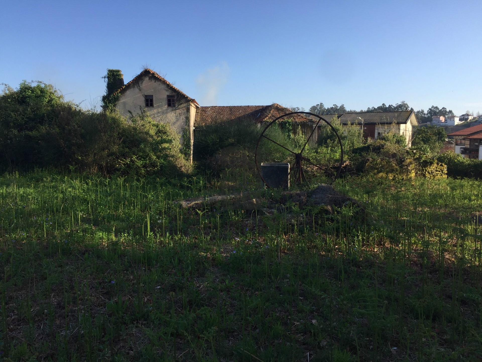 Terreno Para Construção  Venda em São Roque,Oliveira de Azeméis