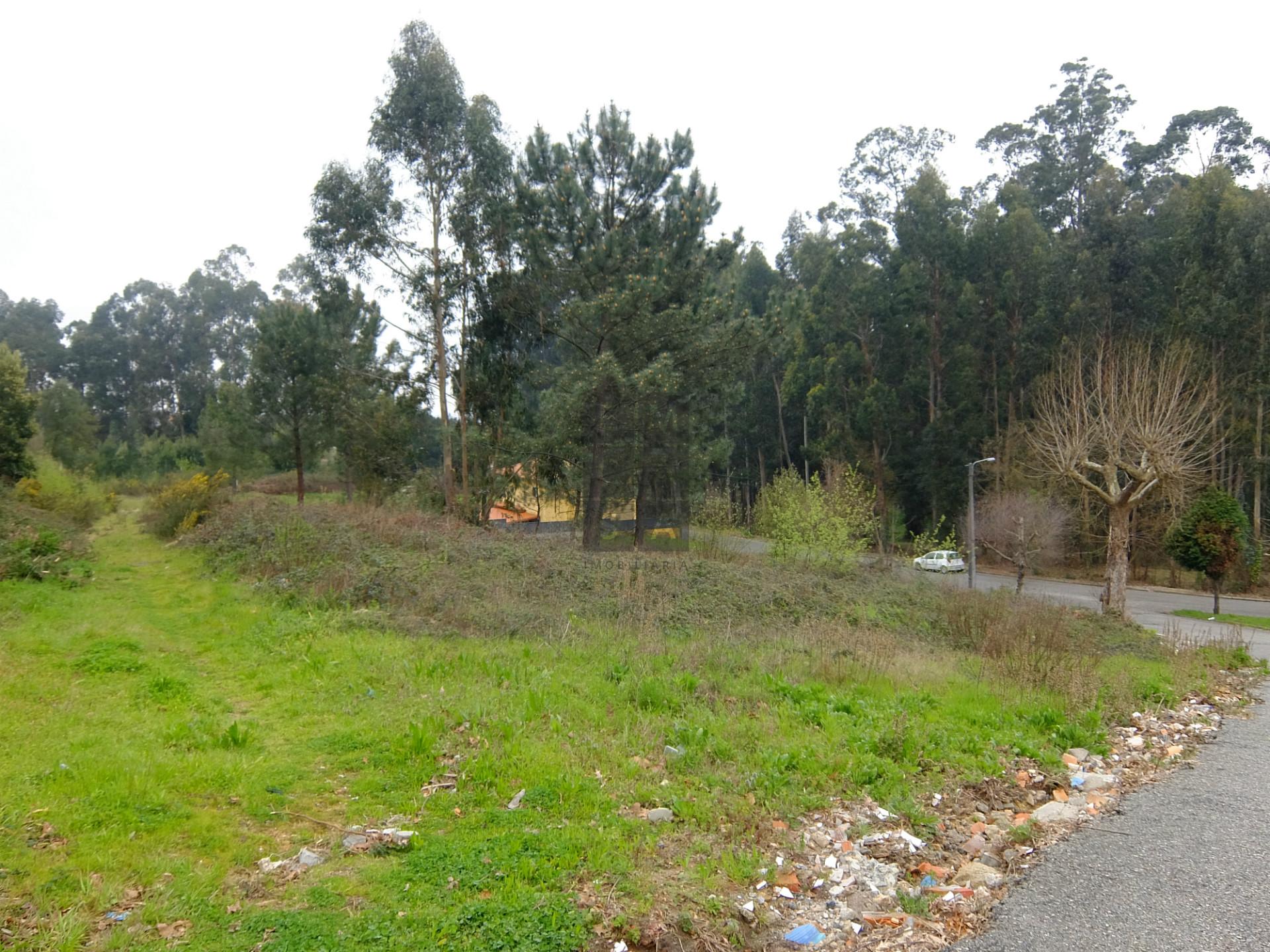 Terreno Para Construção  Venda em Nogueira do Cravo e Pindelo,Oliveira de Azeméis