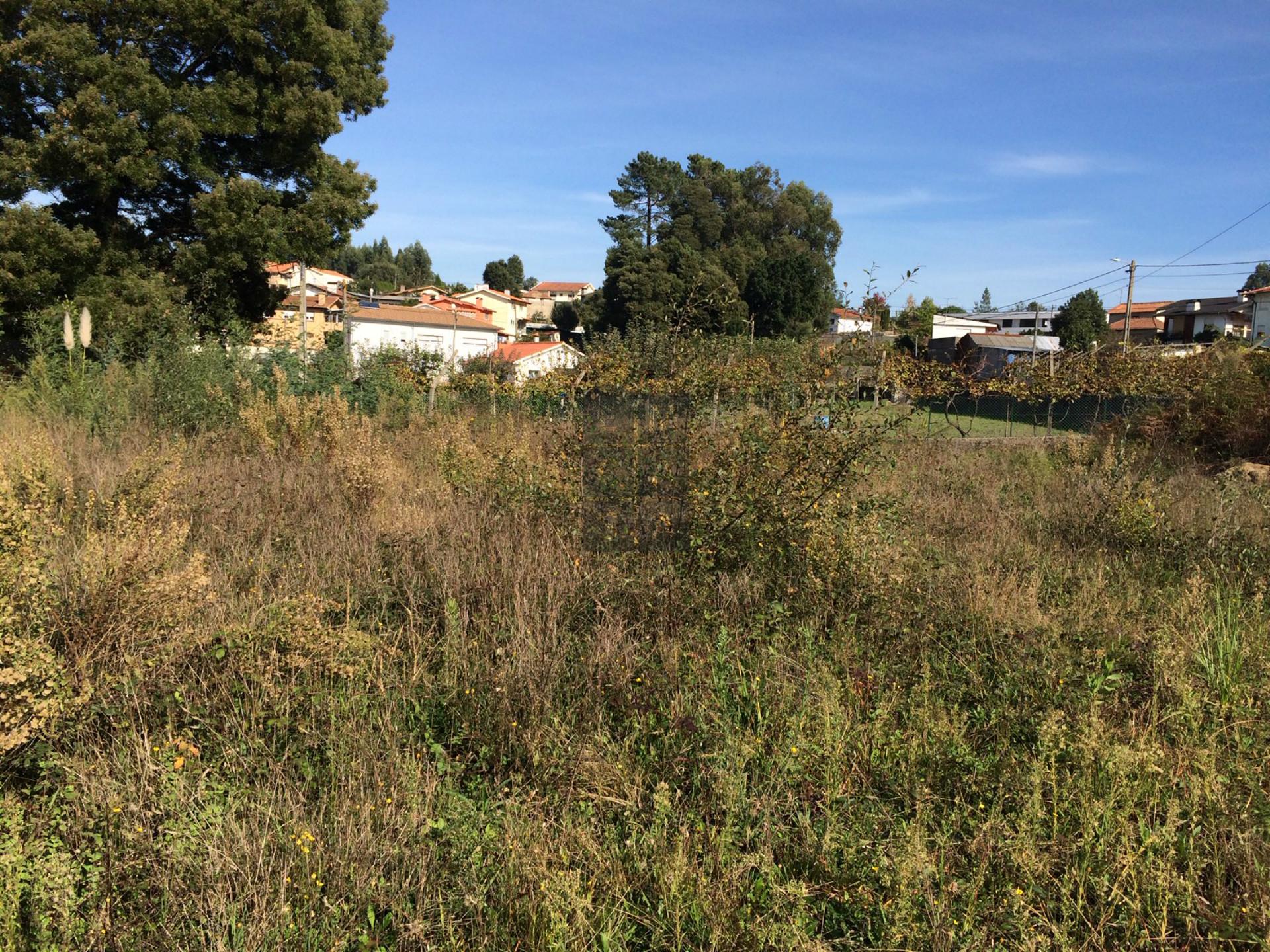 Terreno Para Construção  Venda em São Roque,Oliveira de Azeméis