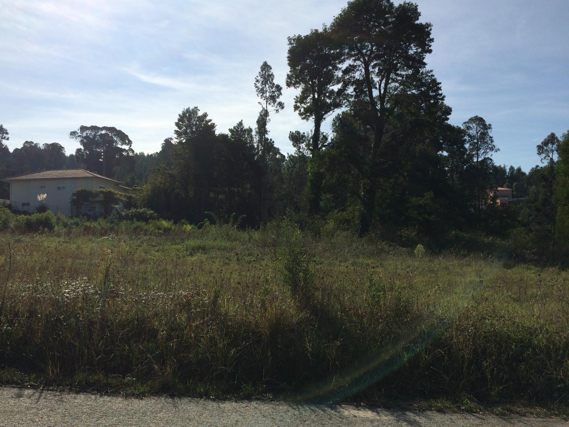 Terreno Para Construção  Venda em São Roque,Oliveira de Azeméis