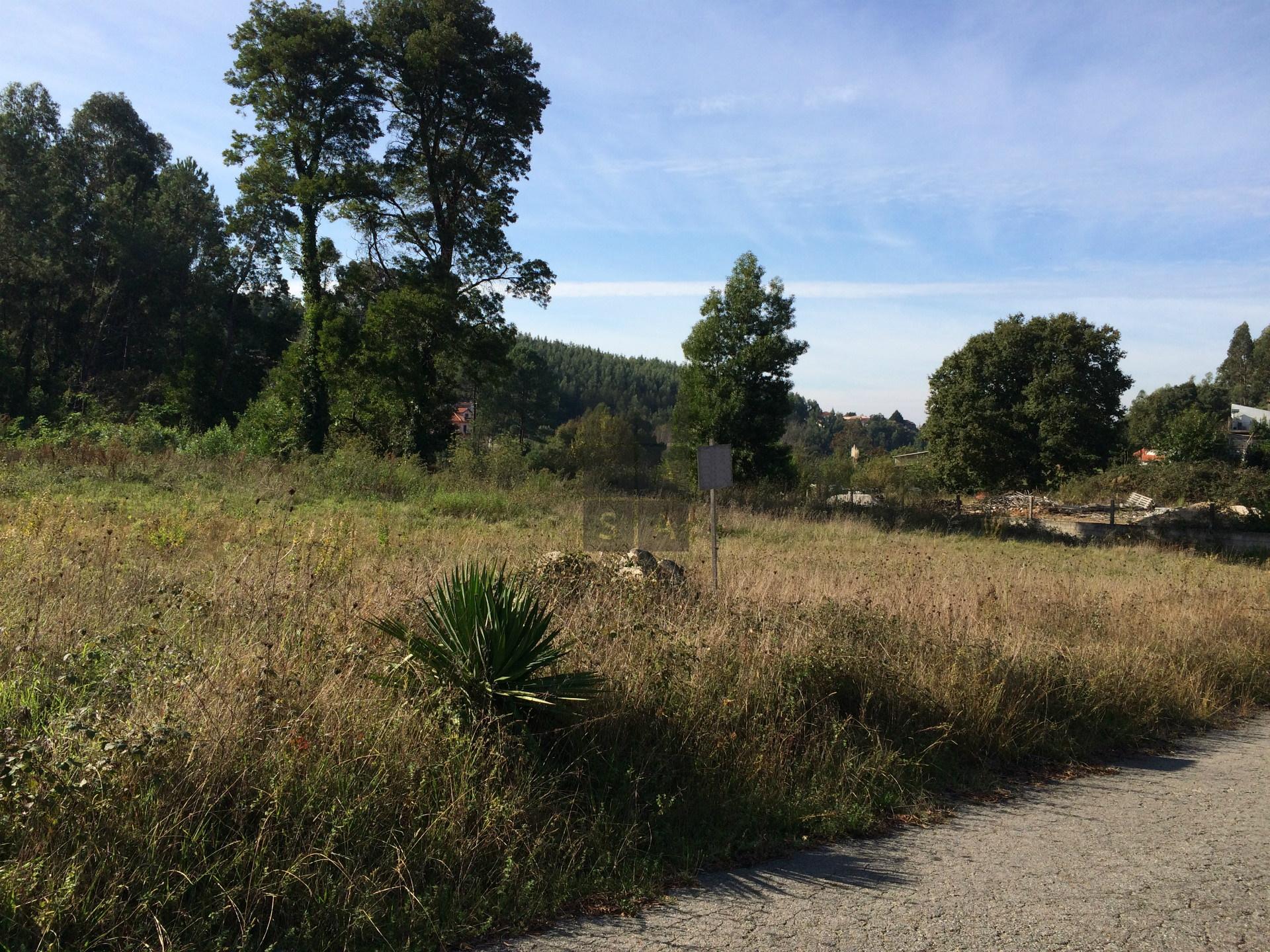 Terreno Para Construção  Venda em São Roque,Oliveira de Azeméis