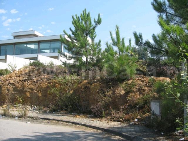 Terreno Para Construção  Venda em Nogueira do Cravo e Pindelo,Oliveira de Azeméis