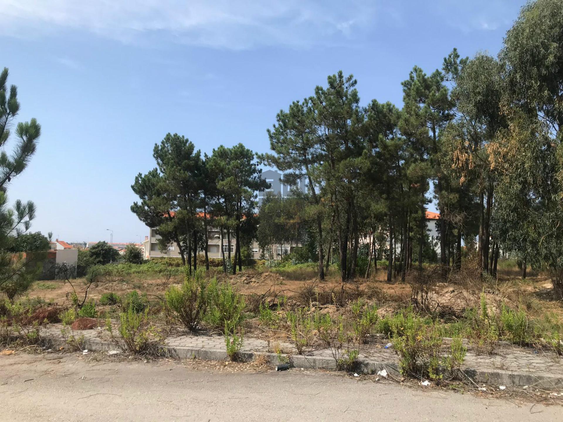 Lote de Terreno  Venda em Santa Joana,Aveiro