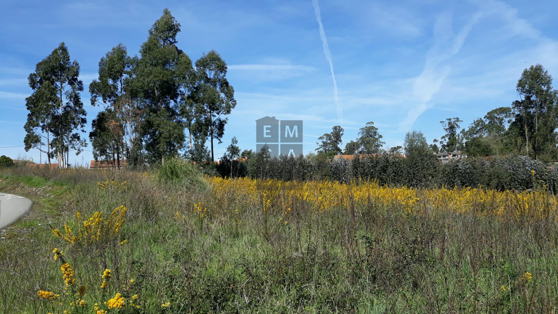 Terreno para venda em Eixo e Eirol