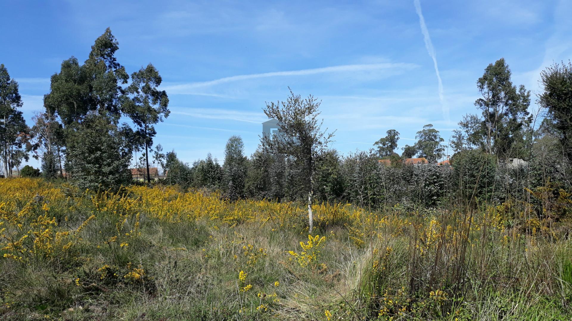 Terreno para venda em Eixo e Eirol