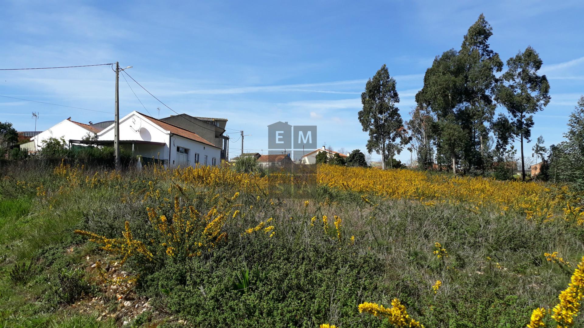 Terreno para venda em Eixo e Eirol