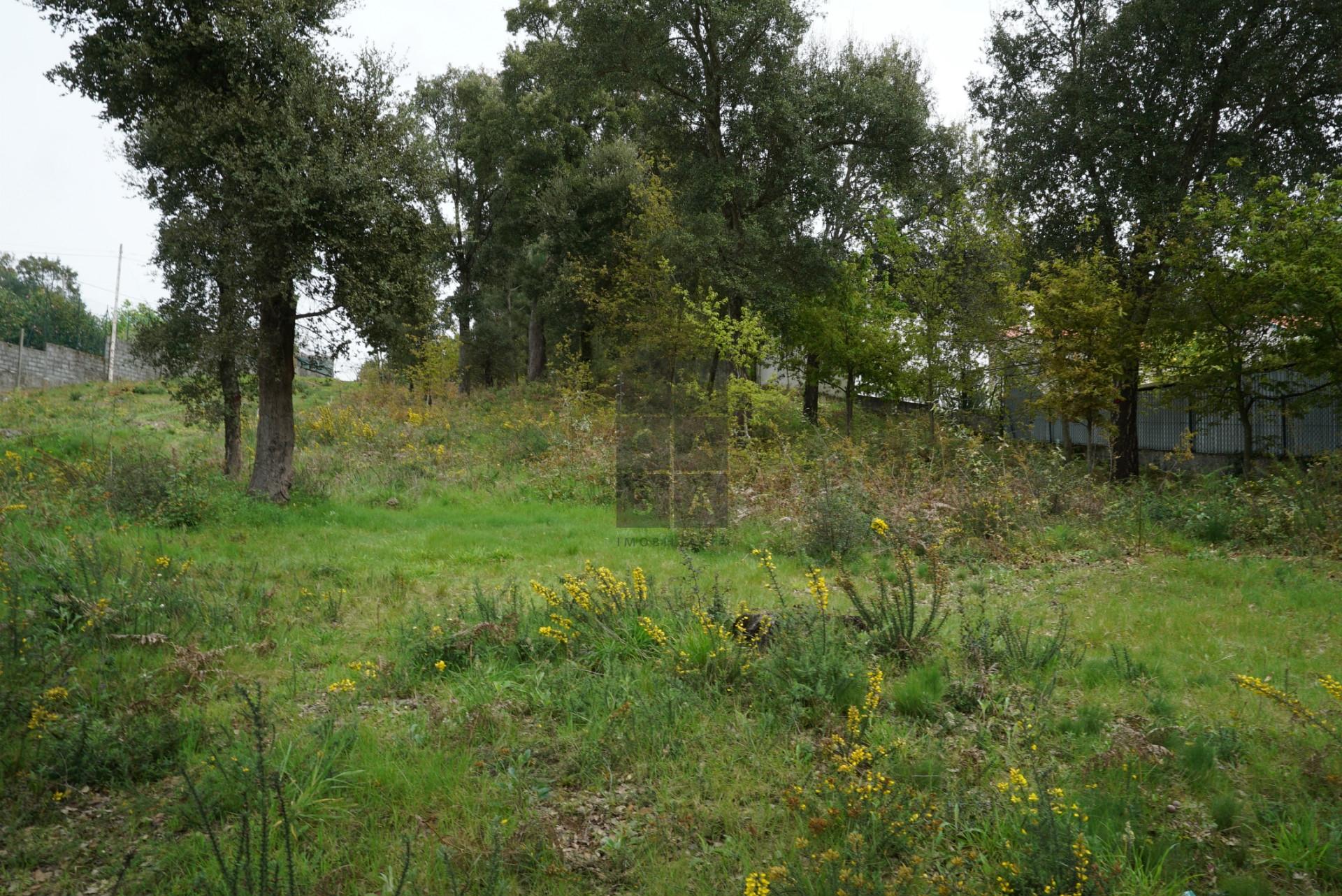 Terreno Para Construção  Venda em Macieira de Cambra,Vale de Cambra