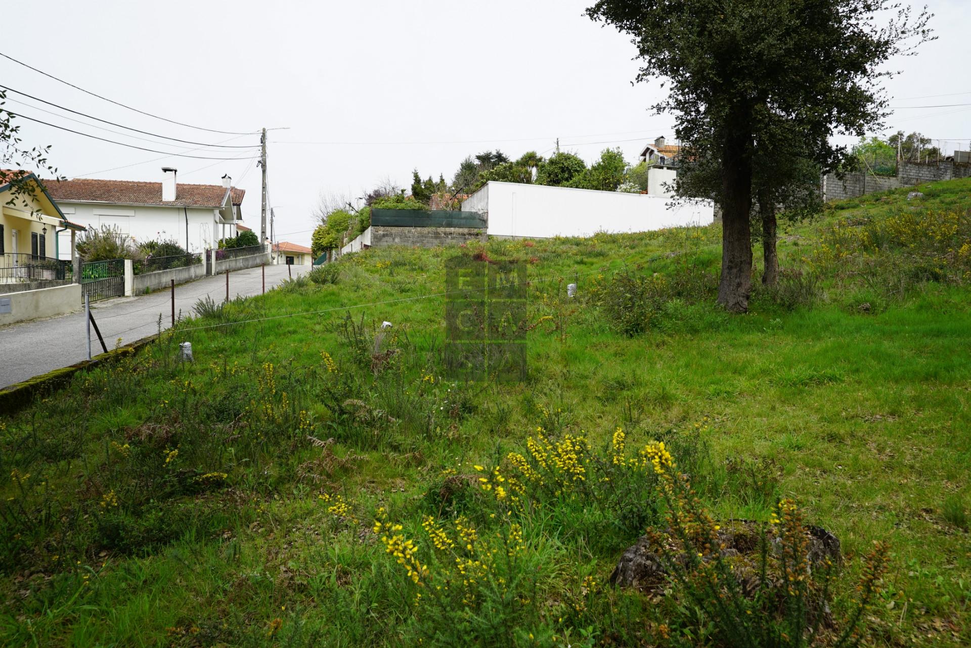 Terreno Para Construção  Venda em Macieira de Cambra,Vale de Cambra