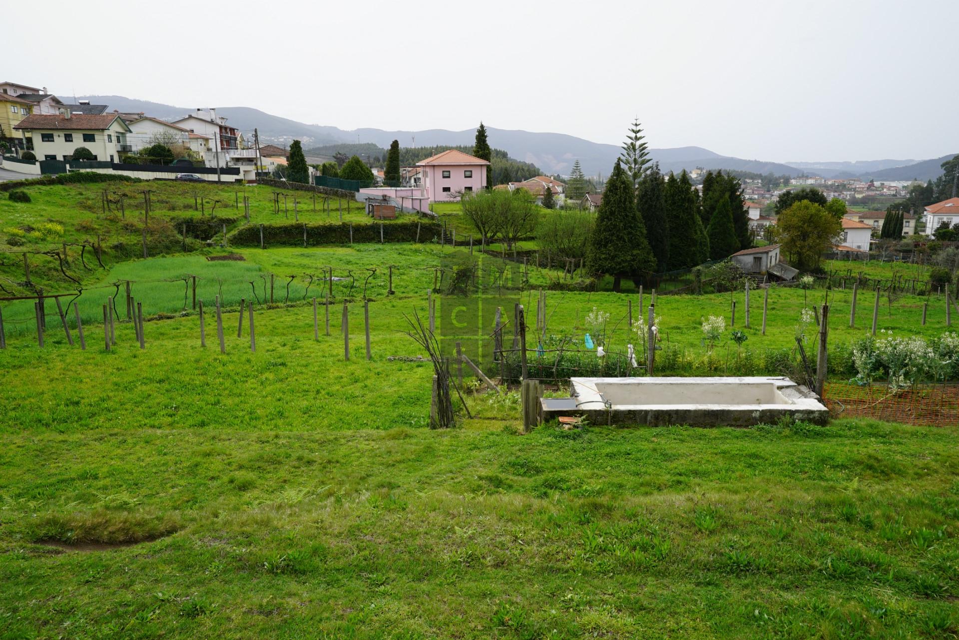 Terreno Para Construção  Venda em Macieira de Cambra,Vale de Cambra