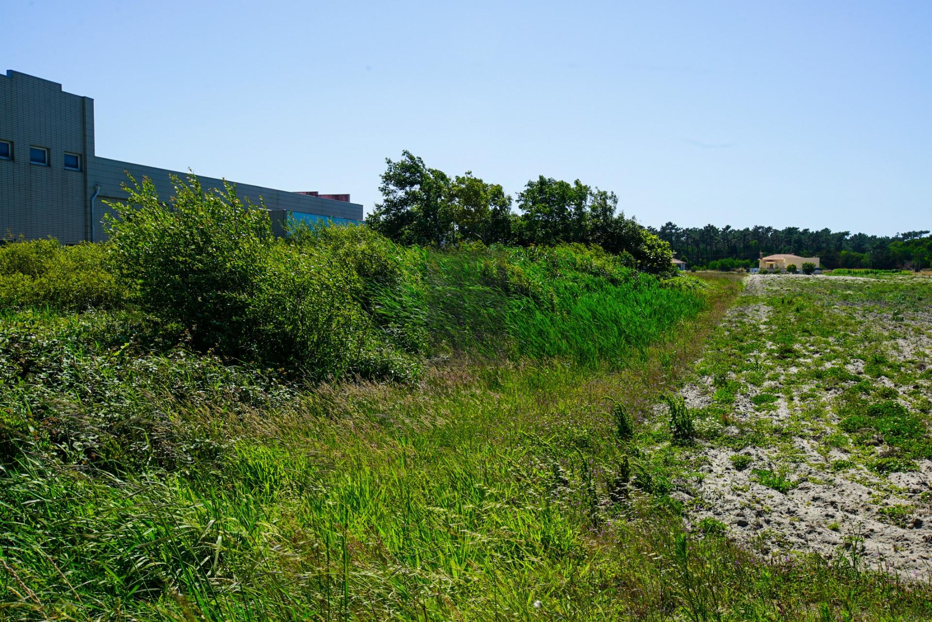 Moradia T3 para reconstrução, Torrão do Lameiro