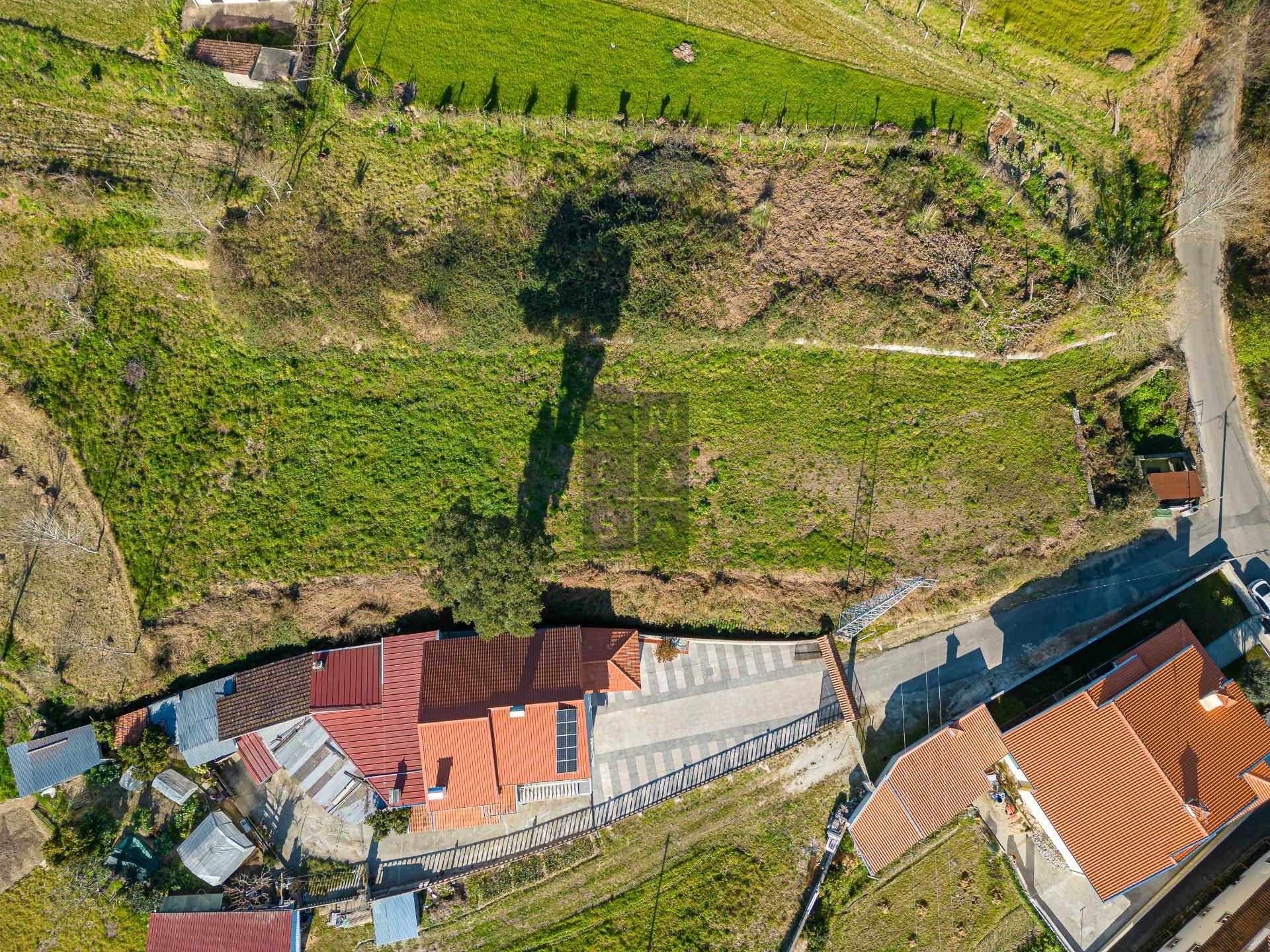 Terreno Para Construção  Venda em Pinheiro da Bemposta, Travanca e Palmaz,Oliveira de Azeméis