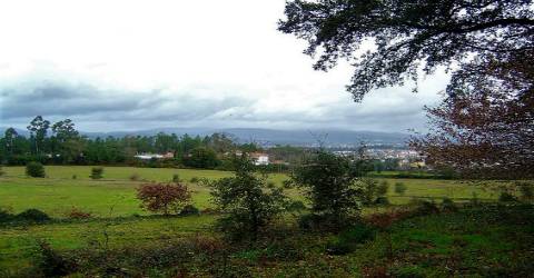 "Quinta da Eira de São Martinho de Tibães"  - Braga