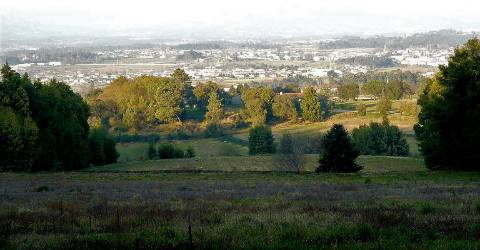 "Quinta da Eira de São Martinho de Tibães"  - Braga