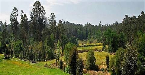 "Quinta da Eira de São Martinho de Tibães"  - Braga