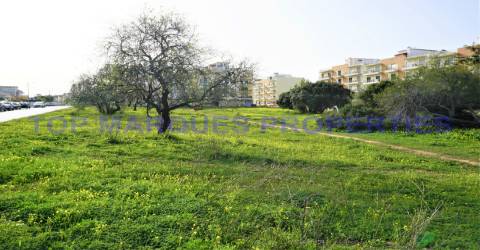 Terreno Urbanizável com 3640 m2 em Olhão