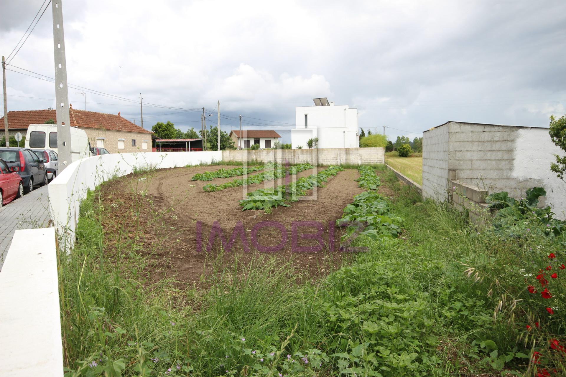 Terreno Para Construção  Venda em Requeixo, Nossa Senhora de Fátima e Nariz,Aveiro