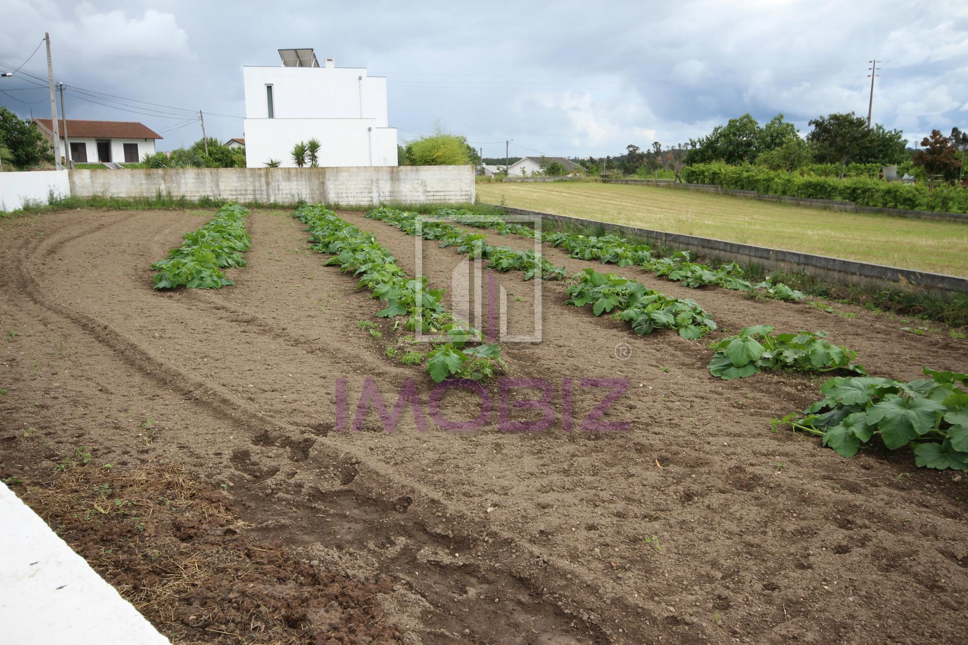 Terreno Para Construção  Venda em Requeixo, Nossa Senhora de Fátima e Nariz,Aveiro