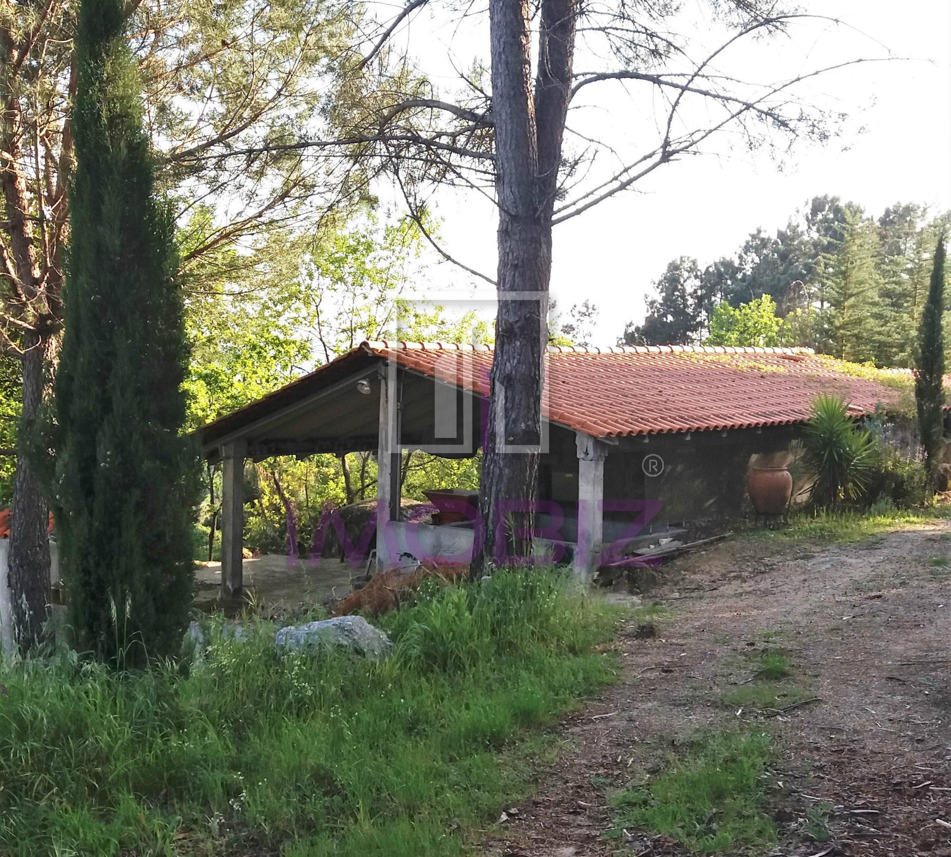 Quinta  Venda em São João de Lourosa,Viseu