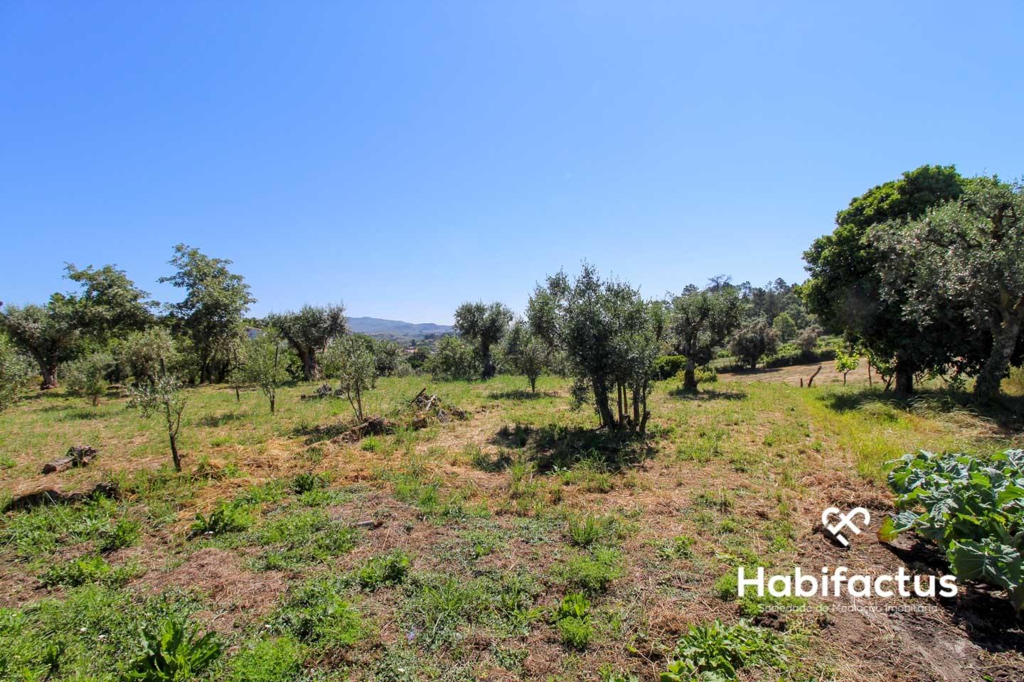 Terreno com viabilidade para construção a 9 km de Mangualde