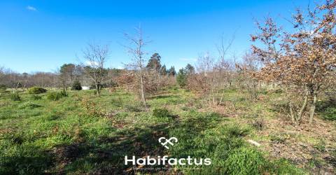 Terreno em Mangualde