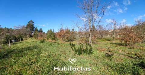 Terreno em Mangualde