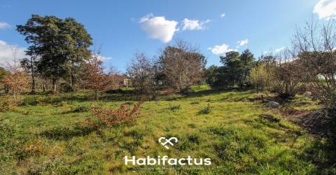 Terreno em Mangualde