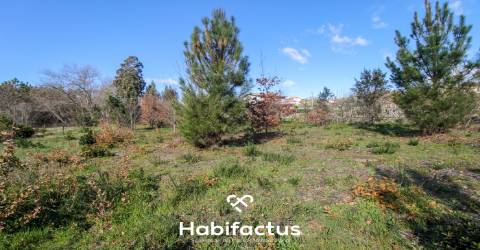 Terreno em Mangualde