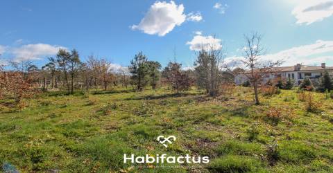 Terreno em Mangualde