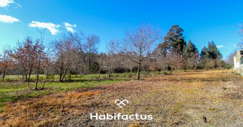 Terreno em Mangualde