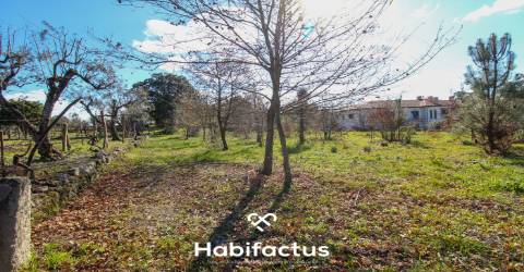 Terreno em Mangualde