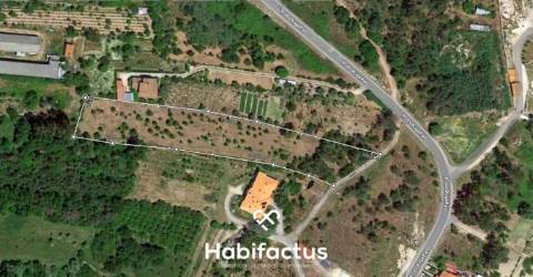 Terreno em Mangualde