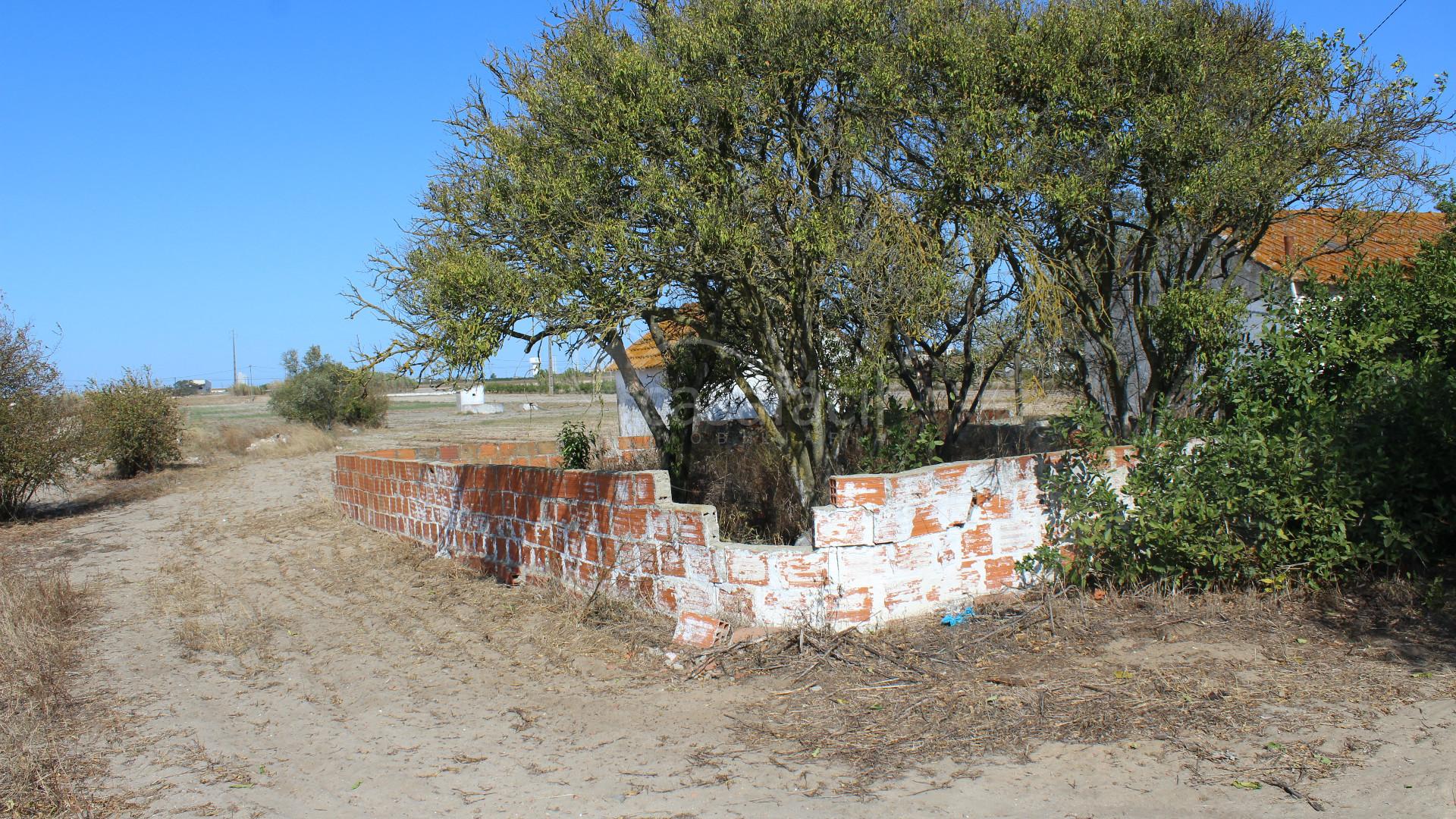 Terreno Misto  Venda em Alcochete,Alcochete