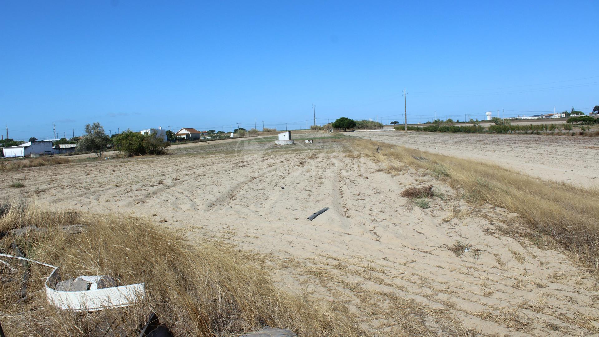 Terreno Misto  Venda em Alcochete,Alcochete