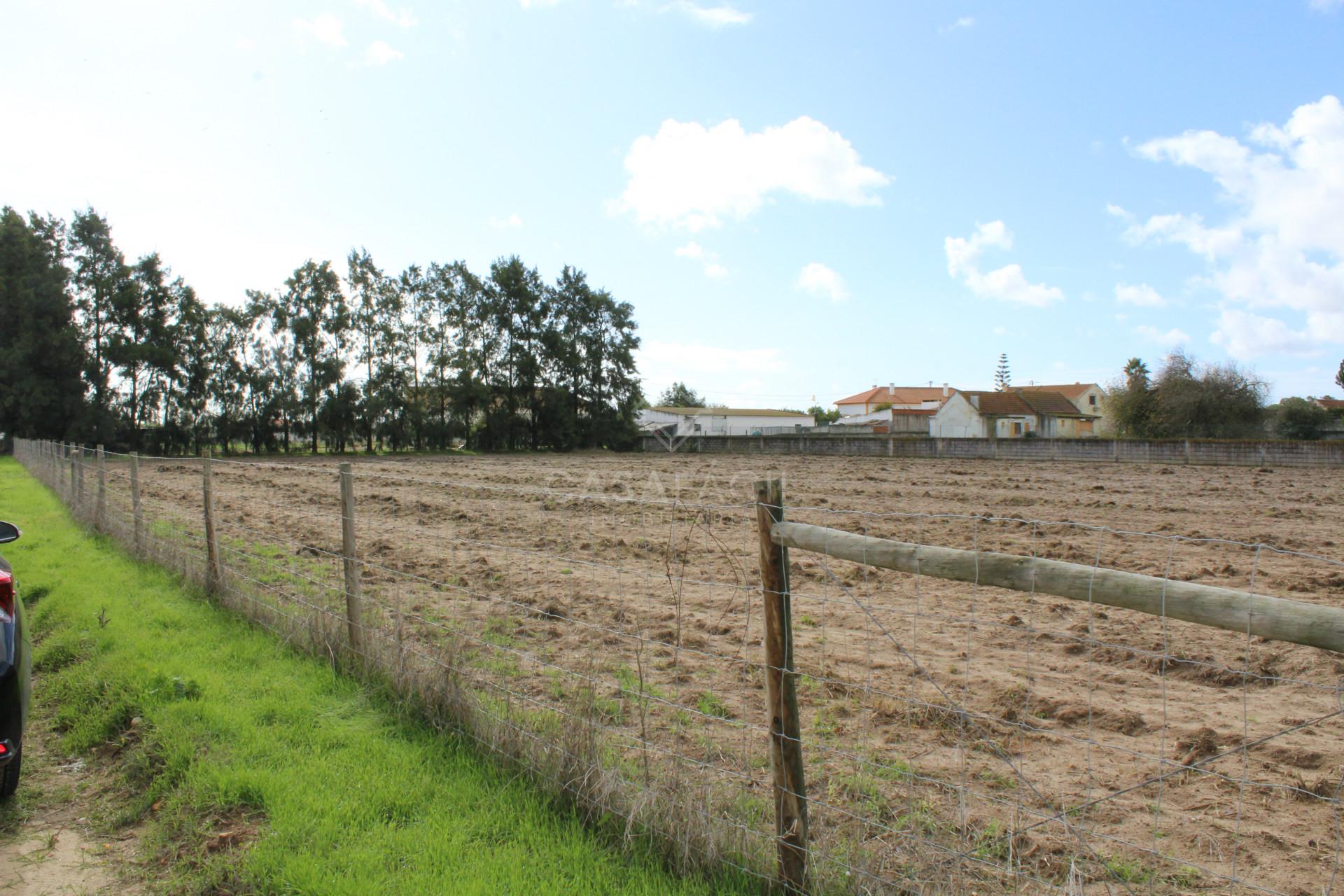 Terreno  Venda em Alcochete,Alcochete