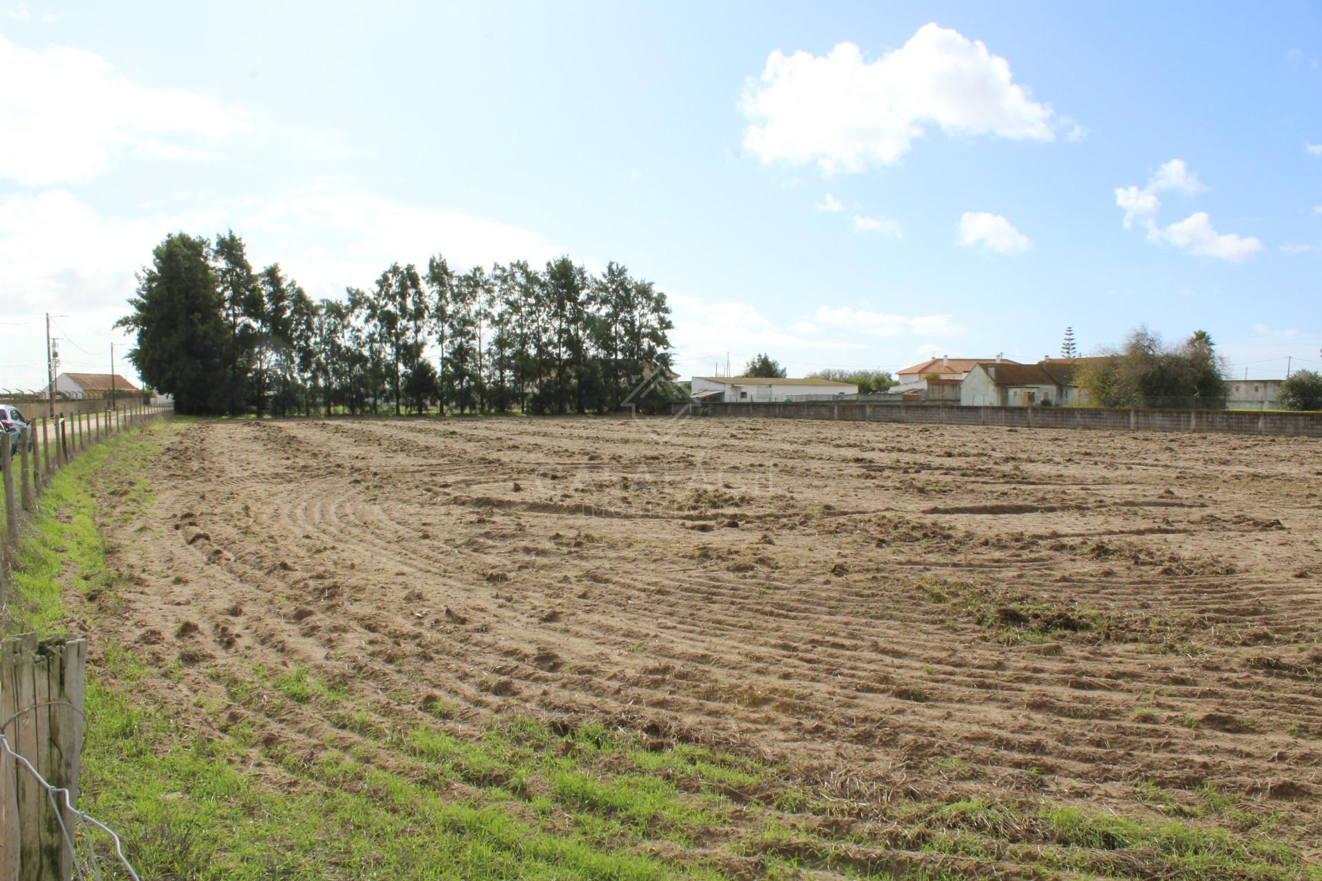 Terreno  Venda em Alcochete,Alcochete