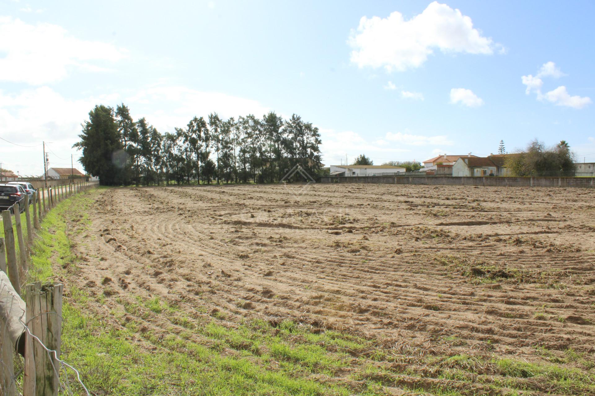 Terreno  Venda em Alcochete,Alcochete