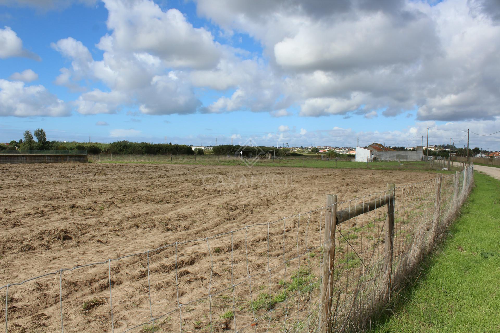 Terreno  Venda em Alcochete,Alcochete