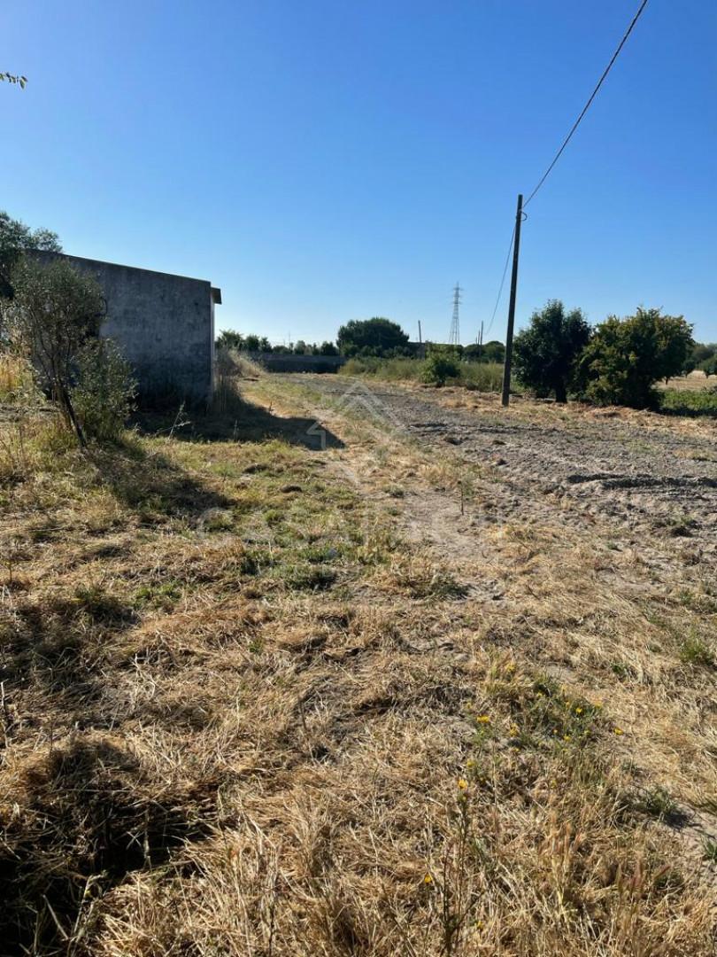 Quintinha  Venda em Montijo e Afonsoeiro,Montijo