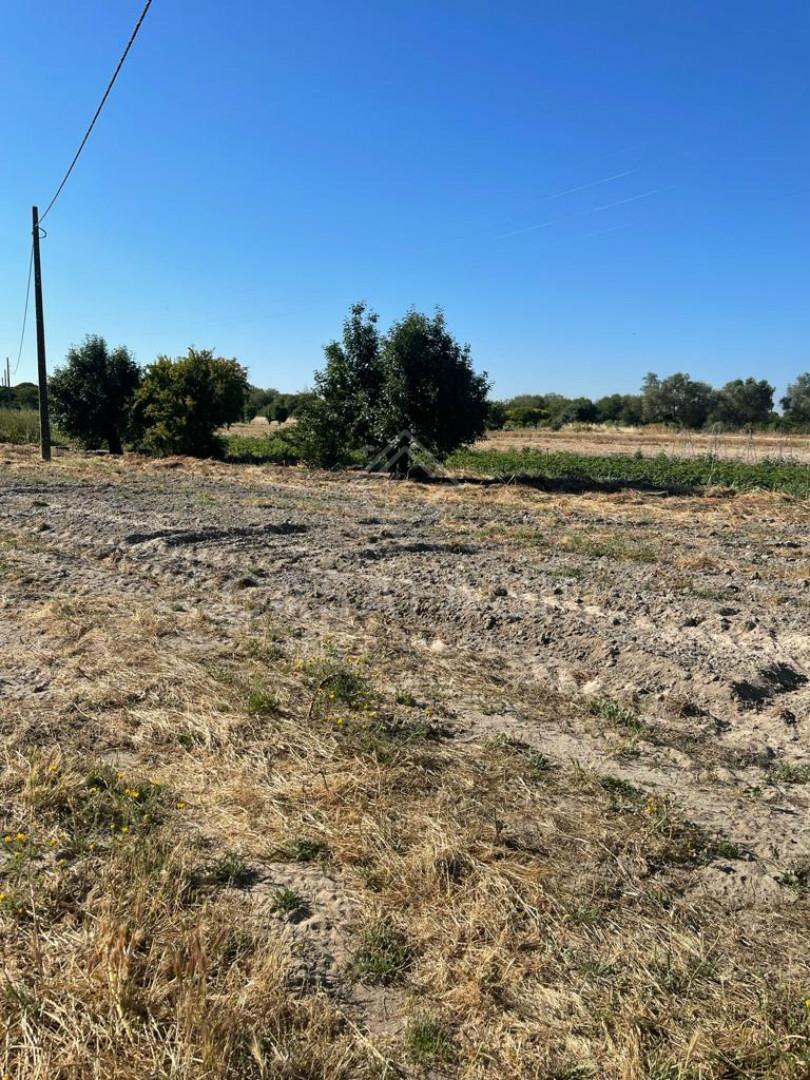 Quintinha  Venda em Montijo e Afonsoeiro,Montijo