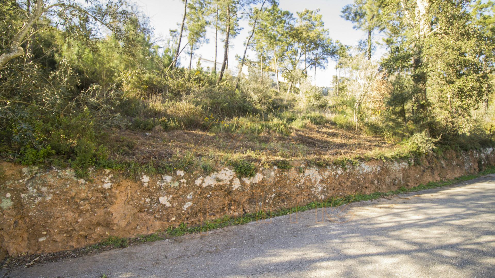 Terreno , Ceira, Coimbra / Venda