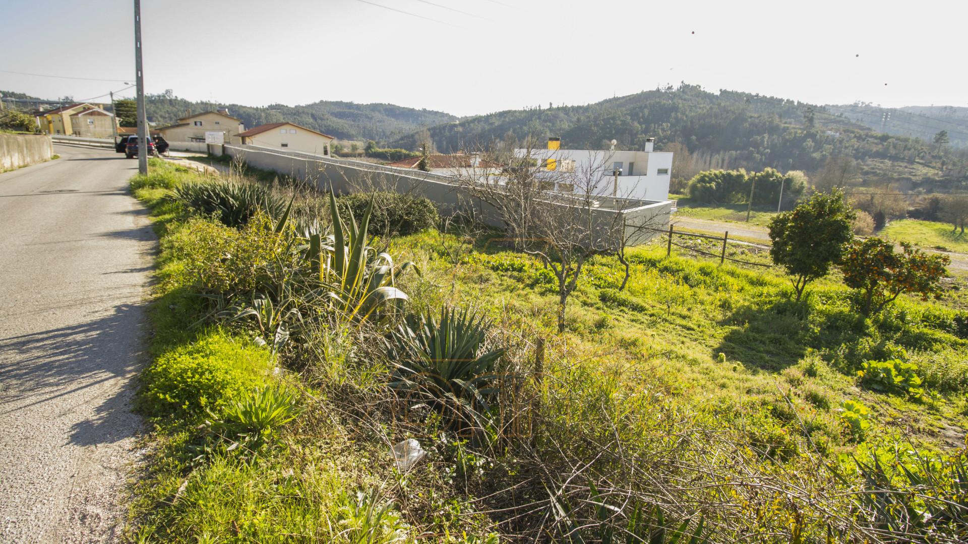 Terreno , Ceira, Coimbra / Venda