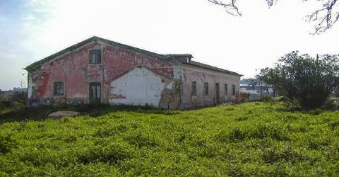 Quinta - Soure - Coimbra